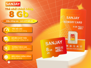 8Gb C10